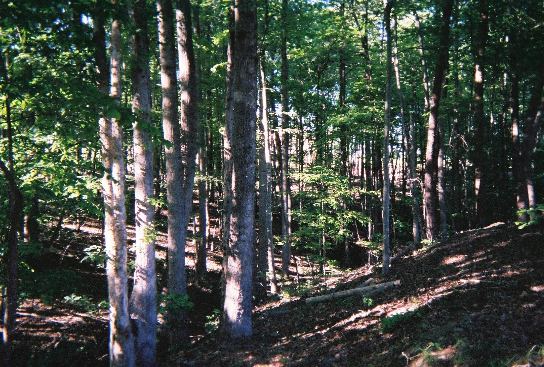 LOT 474 Southwood DR - Photo 16
