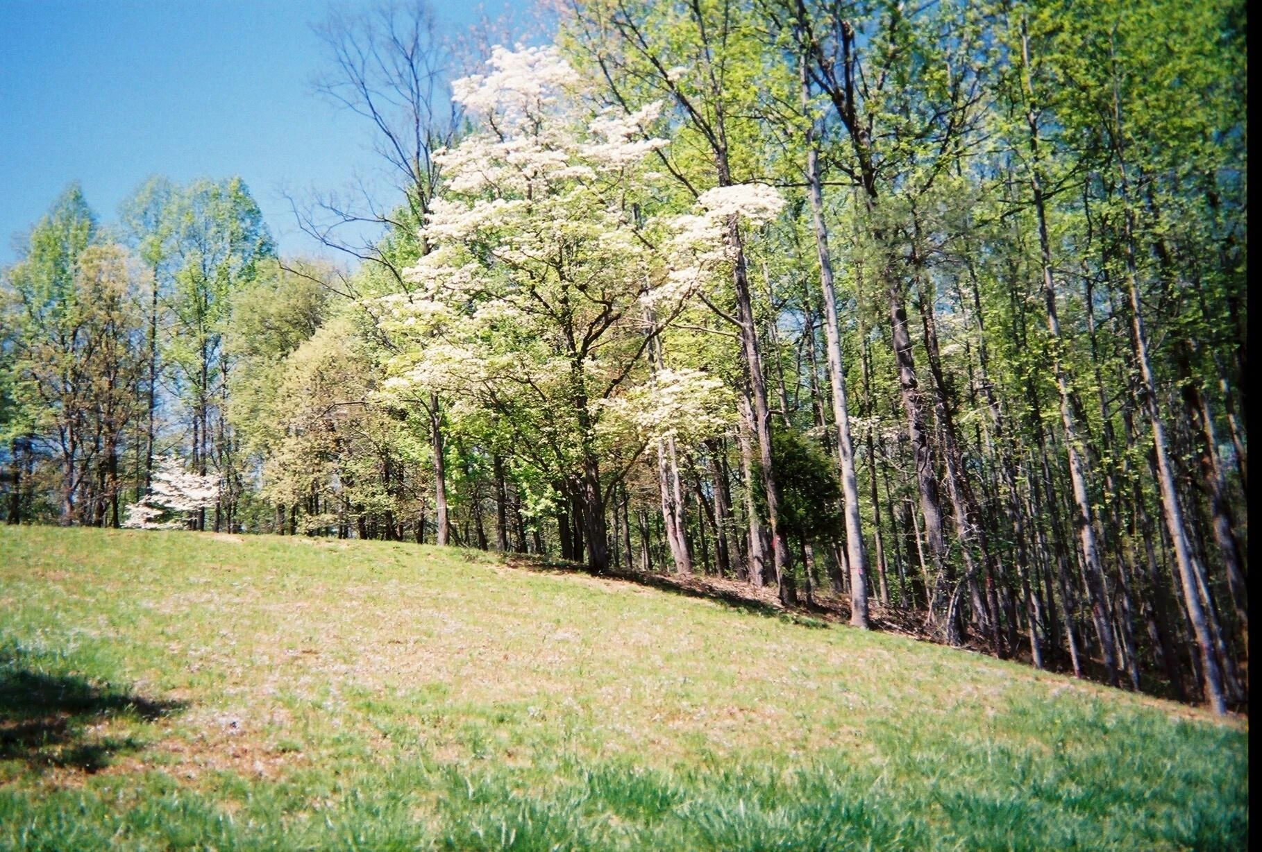LOT 474 Southwood DR - Photo 6