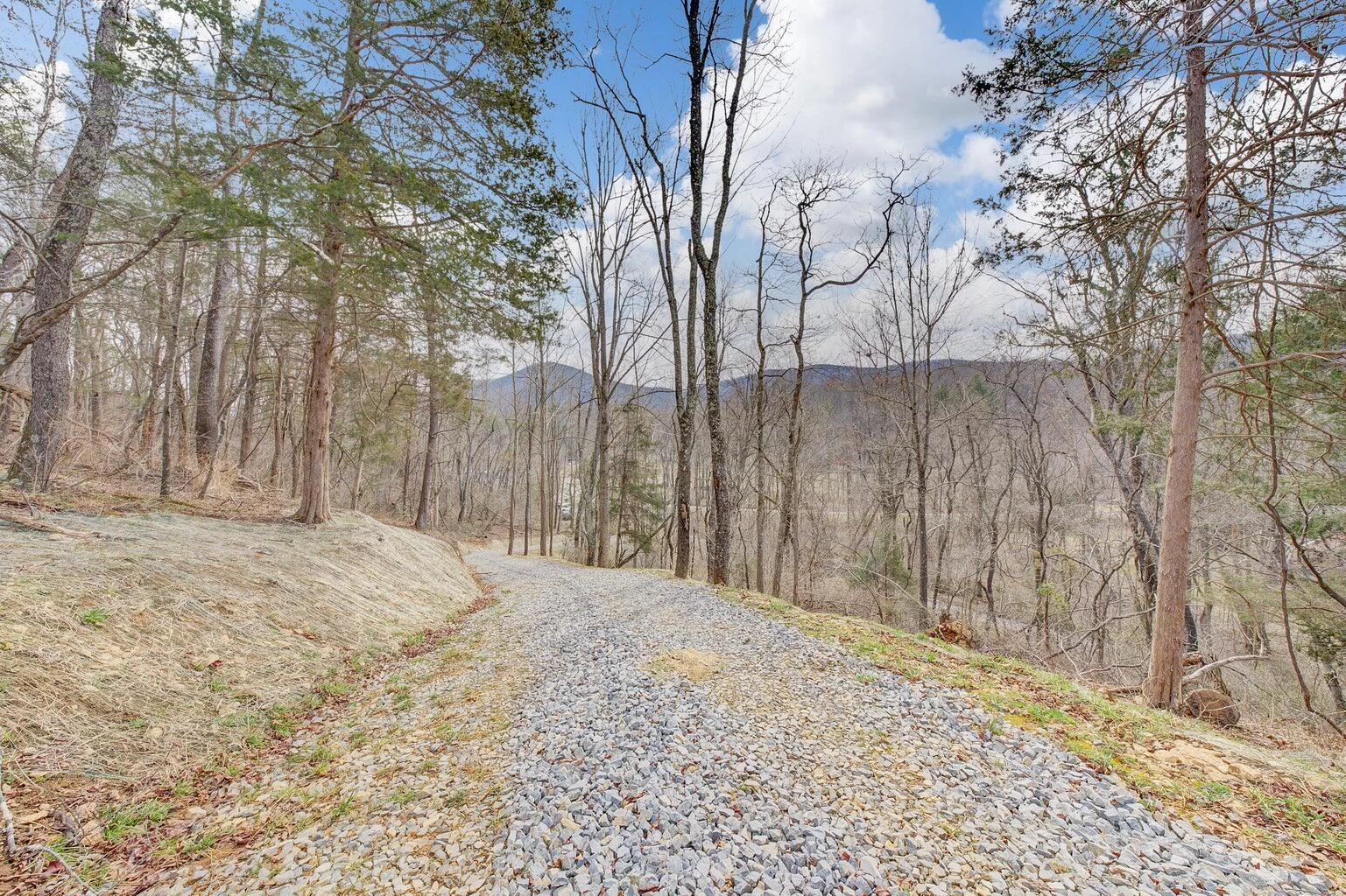 6427 Bent Mountain RD - Photo 14