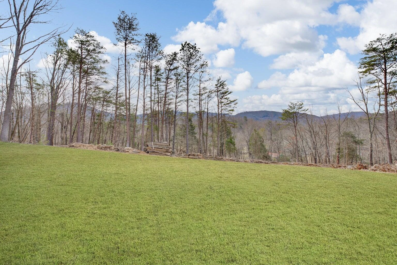 6427 Bent Mountain RD - Photo 3