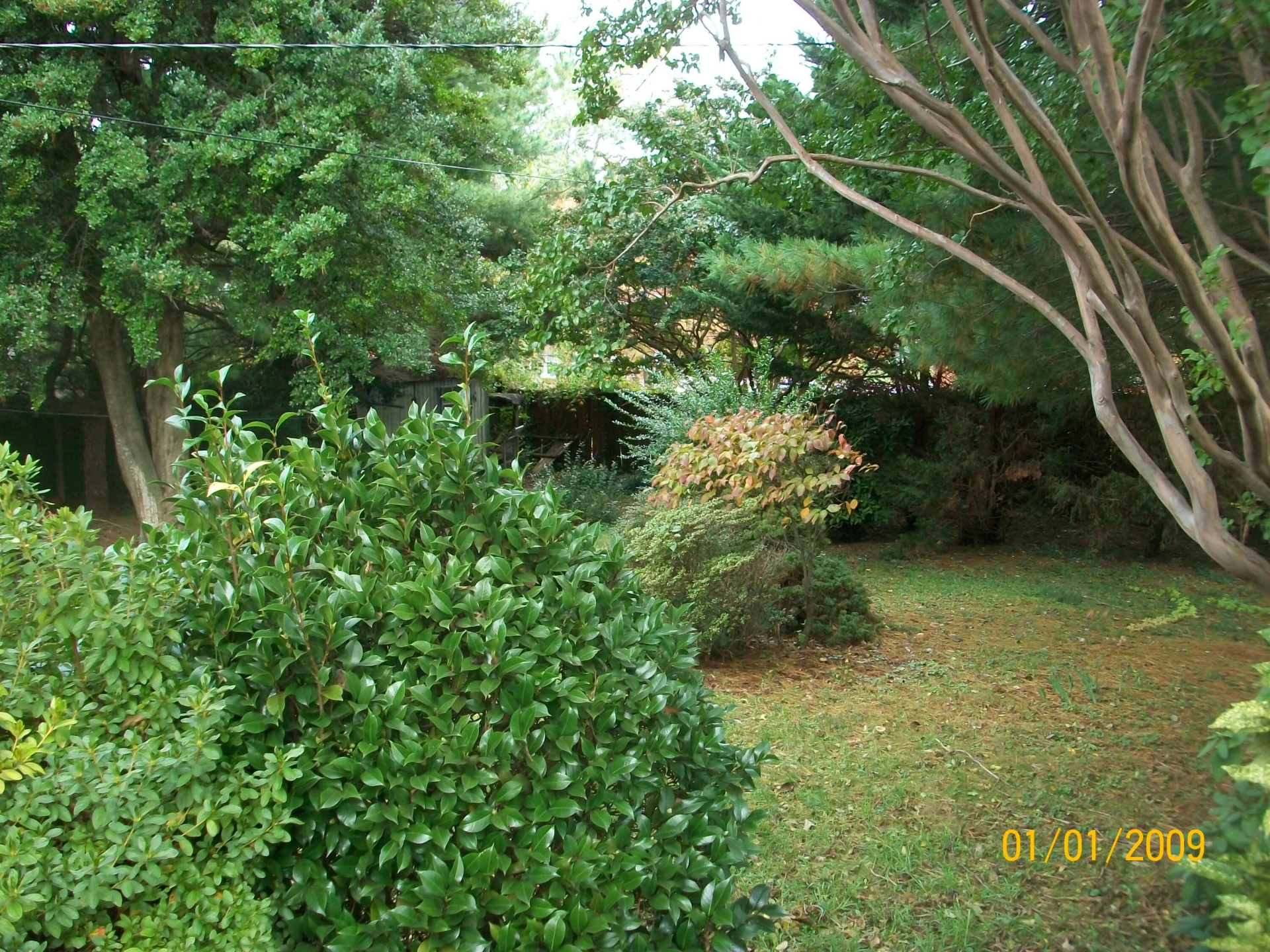 230 Crittendon AVE NE - Photo 23