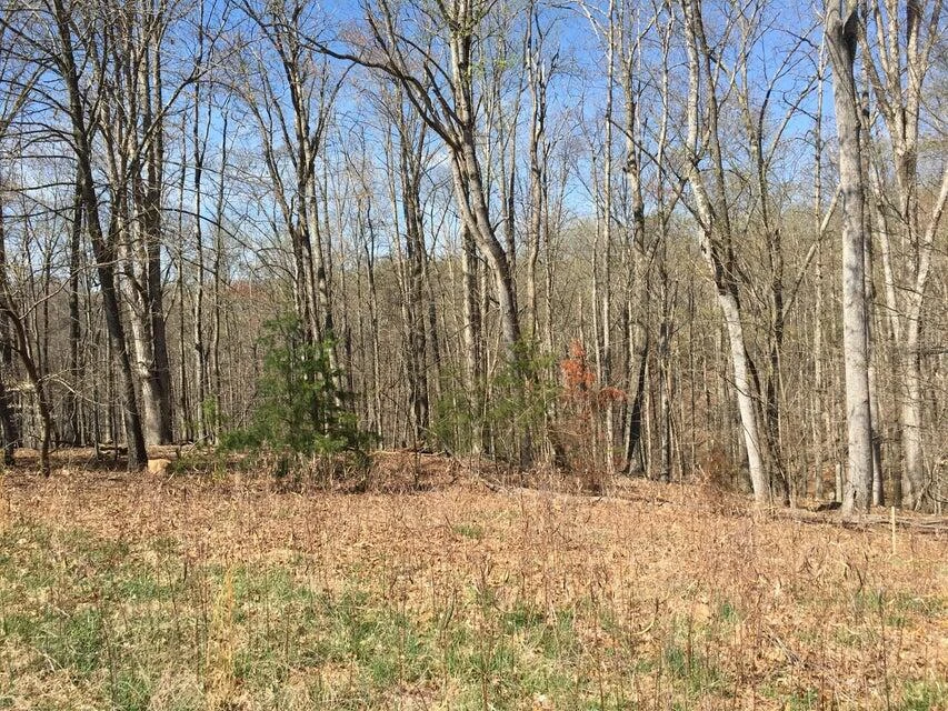 Lot 1 South Pointe Shore DR - Photo 3