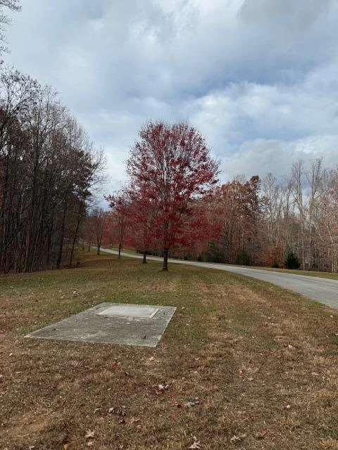 Lot 1 South Pointe Shore DR - Photo 6