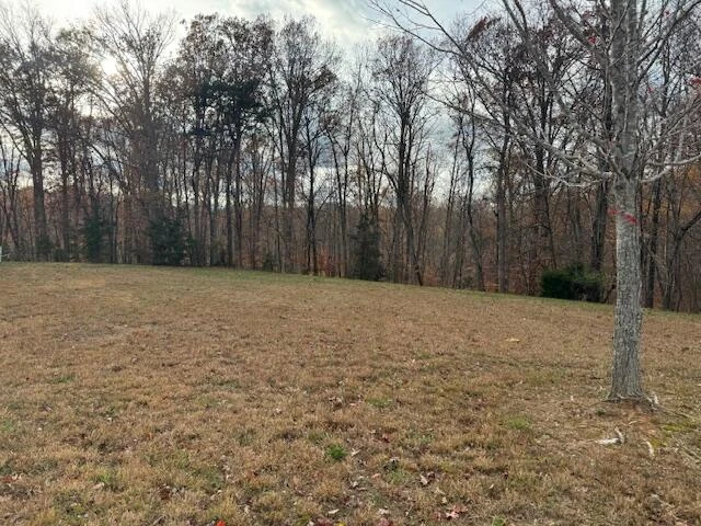 Lot 1 South Pointe Shore DR - Photo 7