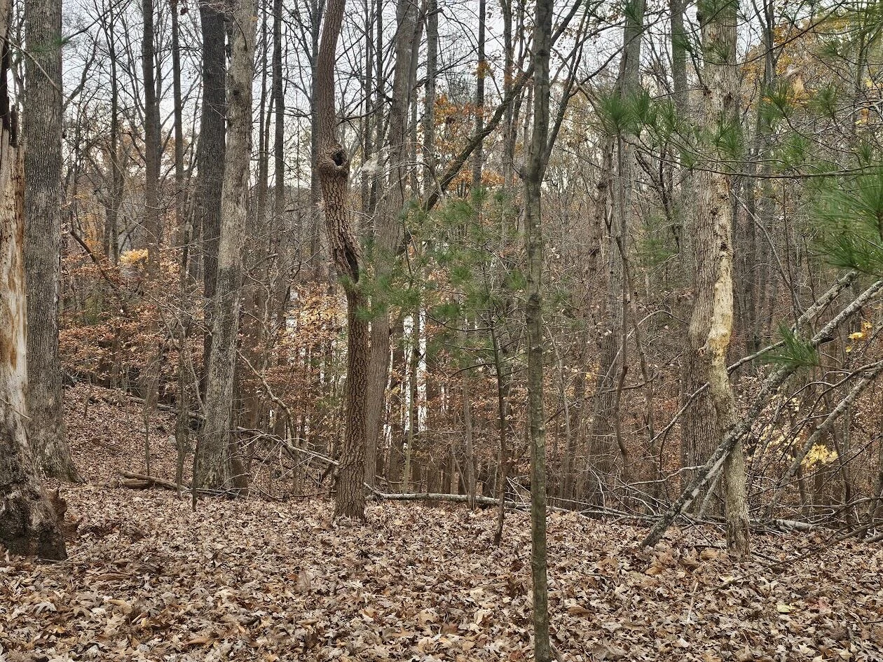 Lot 143 Oak Crest DR - Photo 39