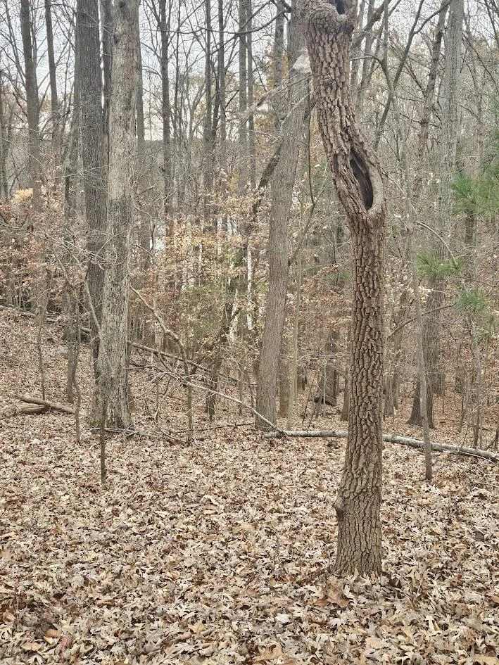 Lot 143 Oak Crest DR - Photo 41
