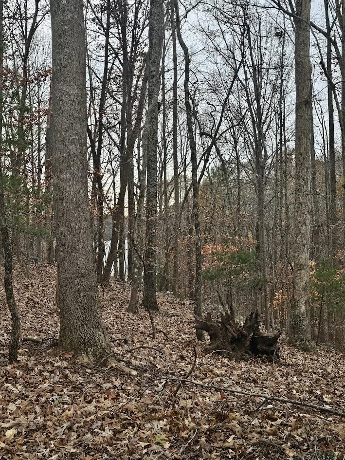 Lot 143 Oak Crest DR - Photo 43