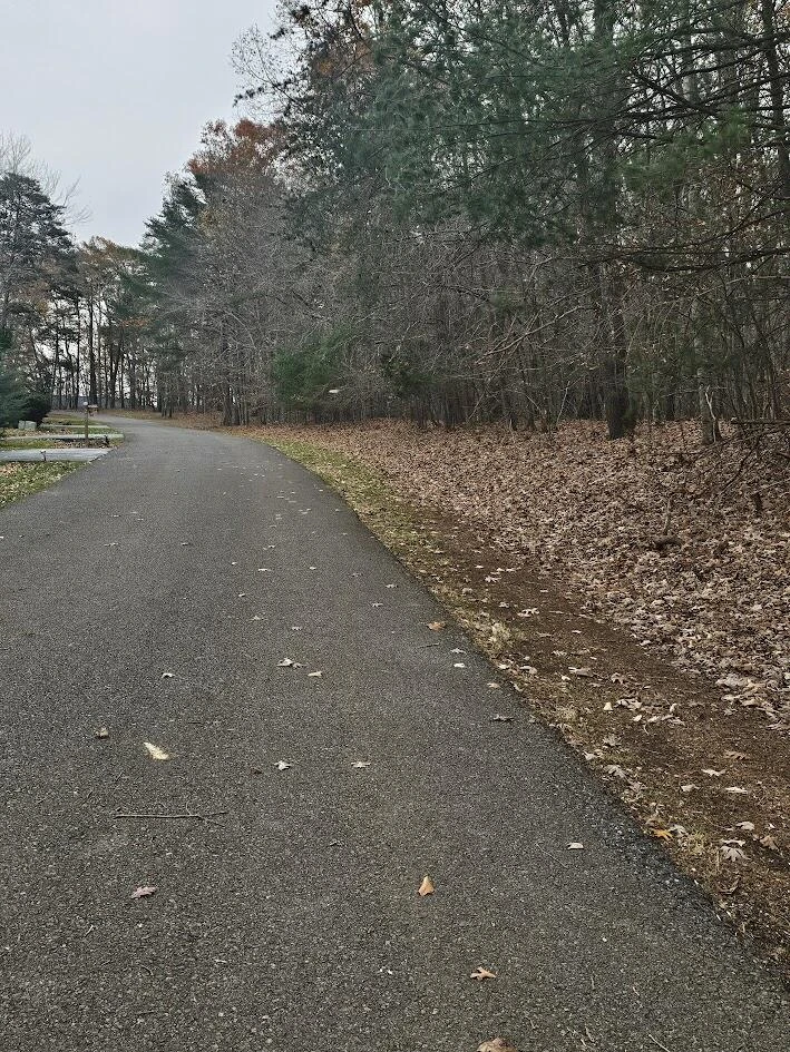 Lot 143 Oak Crest DR - Photo 45