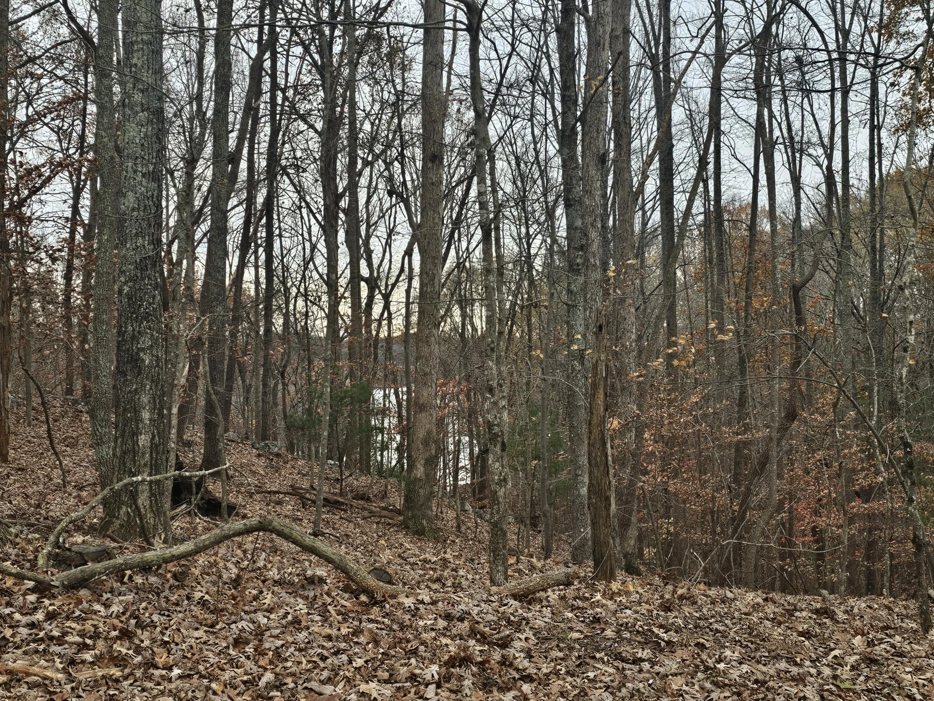 Lot 143 Oak Crest DR - Photo 46
