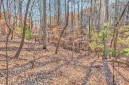 Lot 143 Oak Crest DR - Photo 49