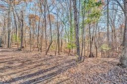 Lot 143 Oak Crest DR - Photo 50