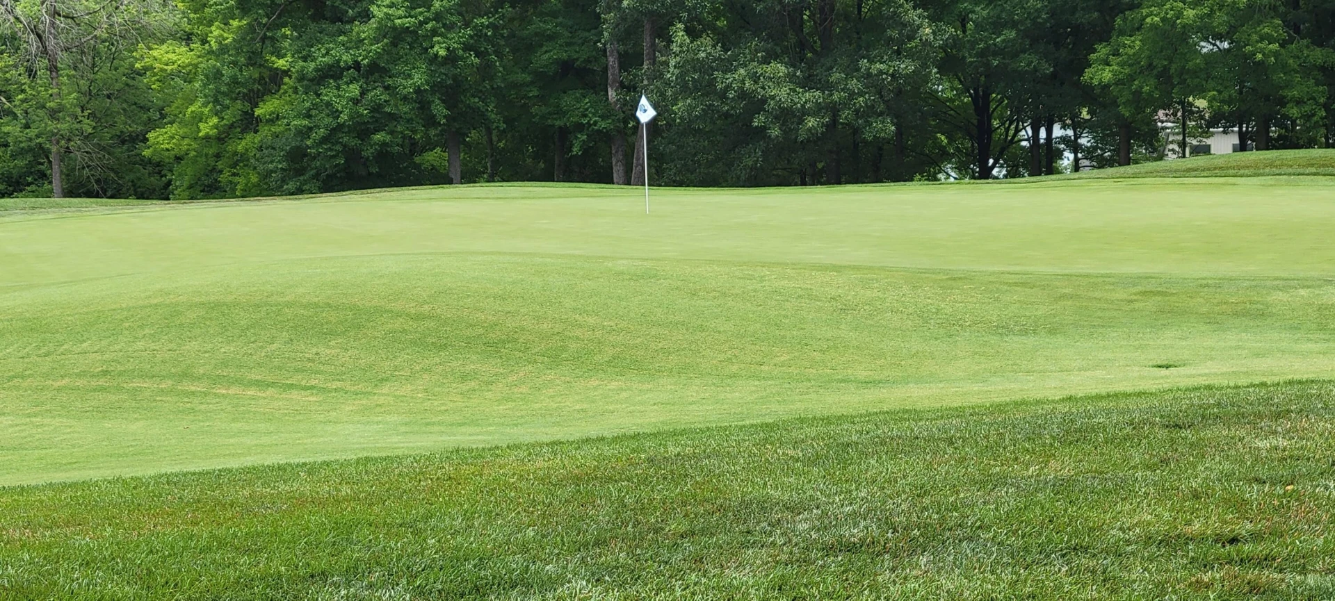 Lot 96 Sand Wedge CIR