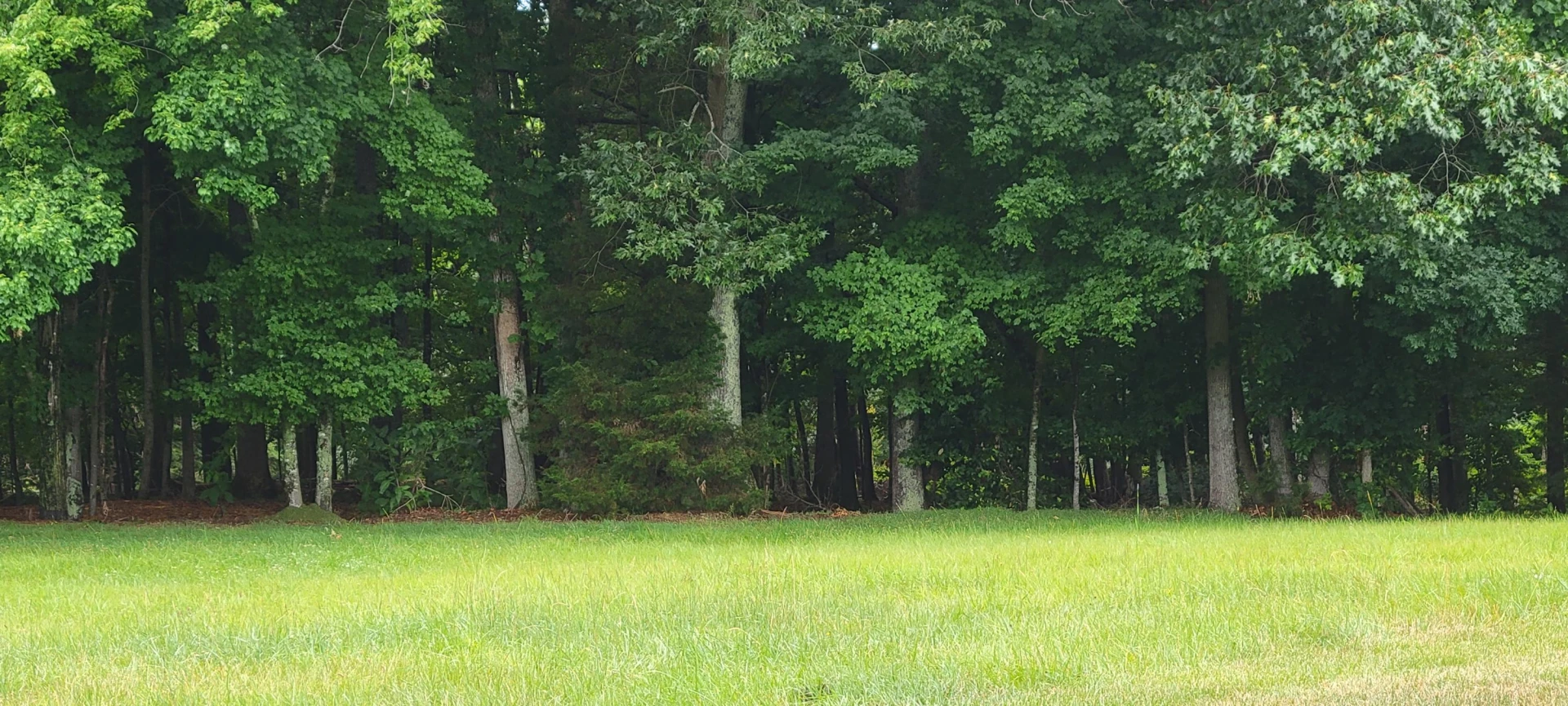 Lot 96 Sand Wedge CIR - Photo 2