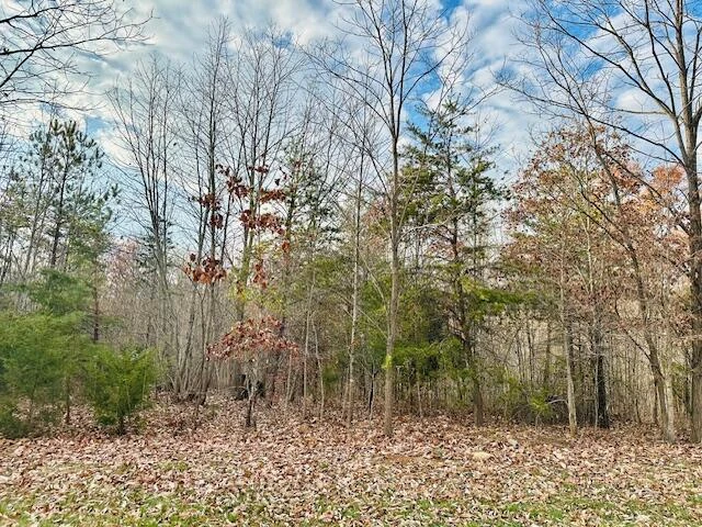 lot 4 Waterford DR