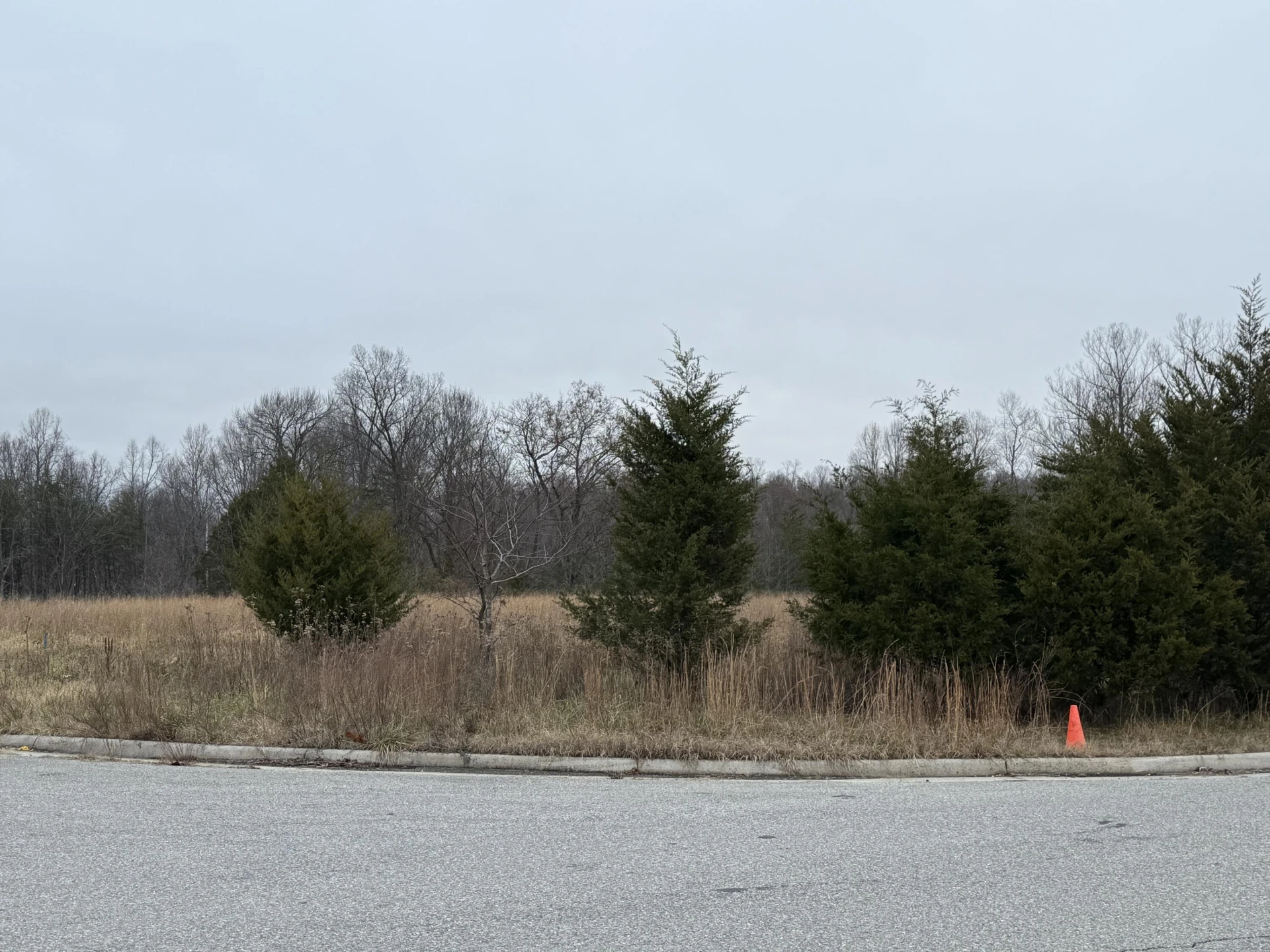 Lot 20 Brookview LN - Photo 2