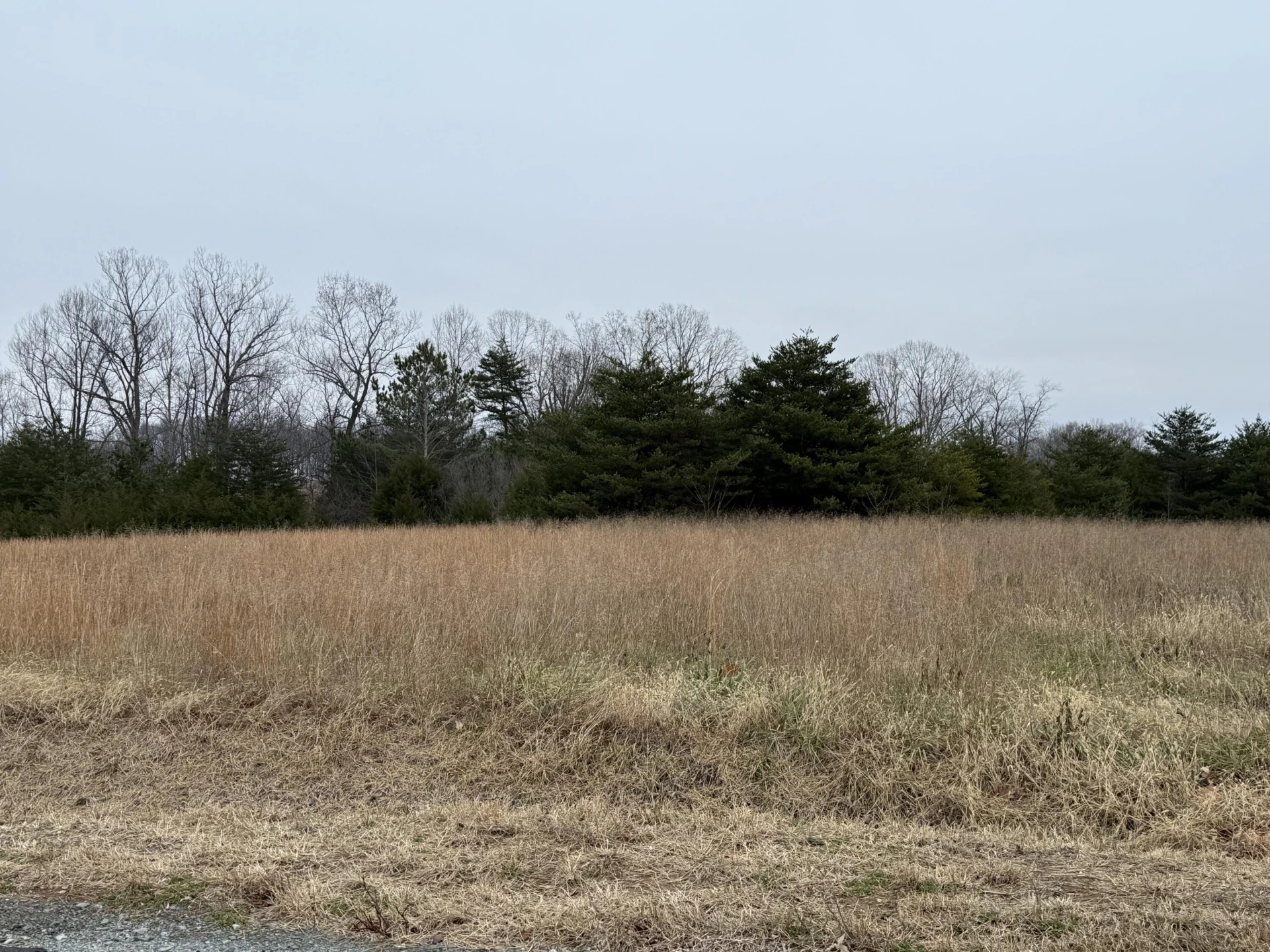 Lot 20 Brookview LN - Photo 4