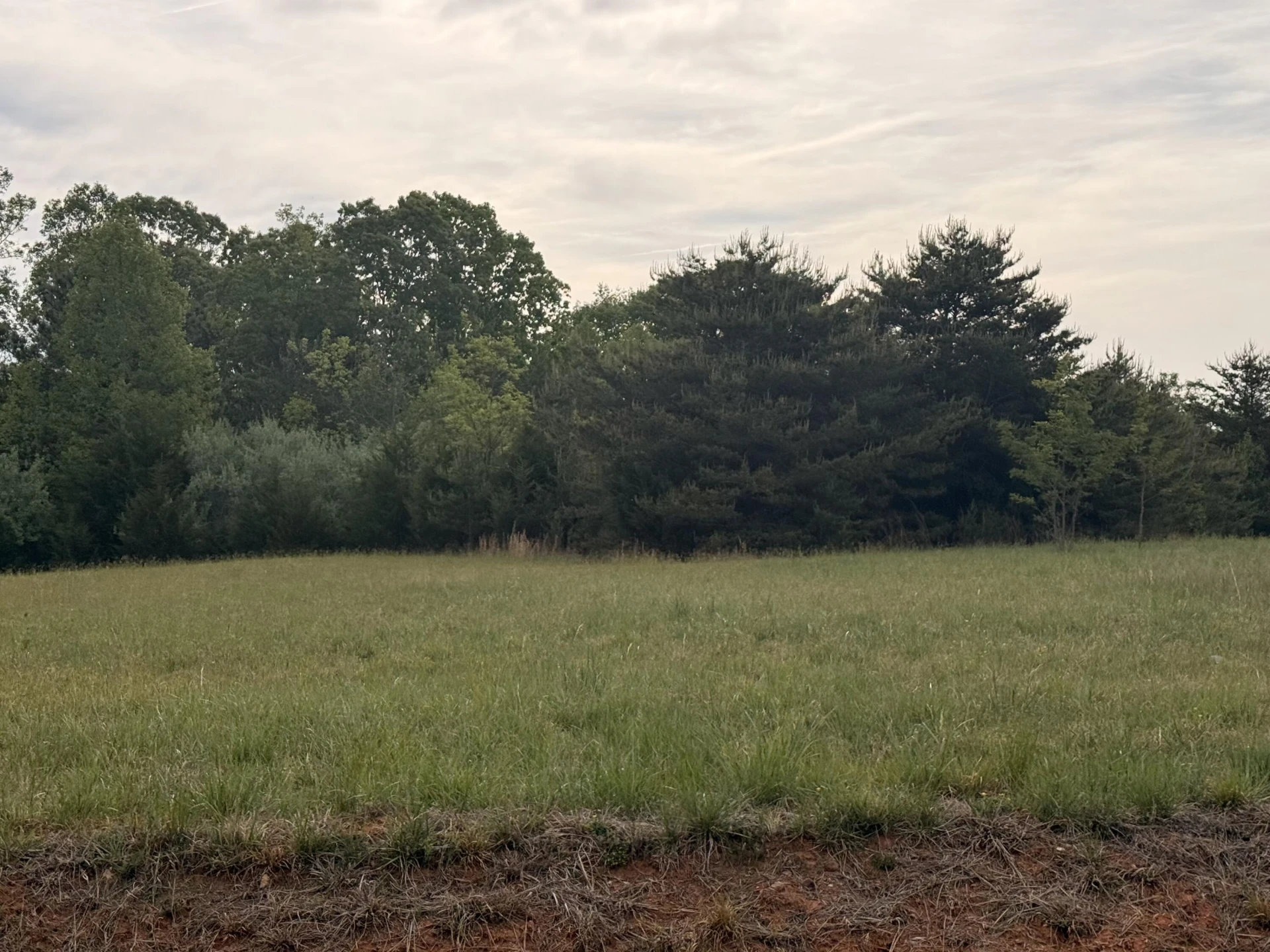 Lot 20 Brookview LN - Photo 7