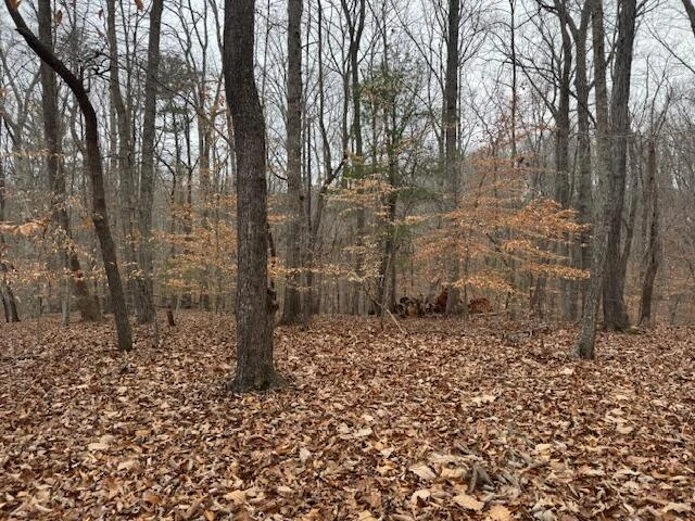Lot 24 Old Post RD