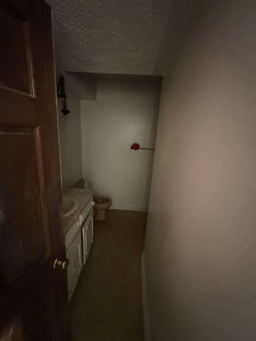 5341 Robinson Tract RD - Photo 18