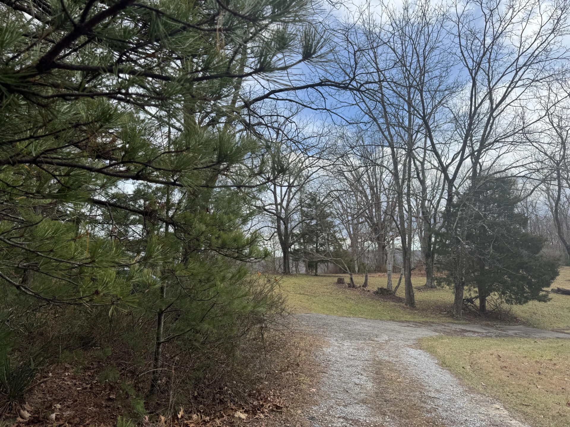 5341 Robinson Tract RD - Photo 24