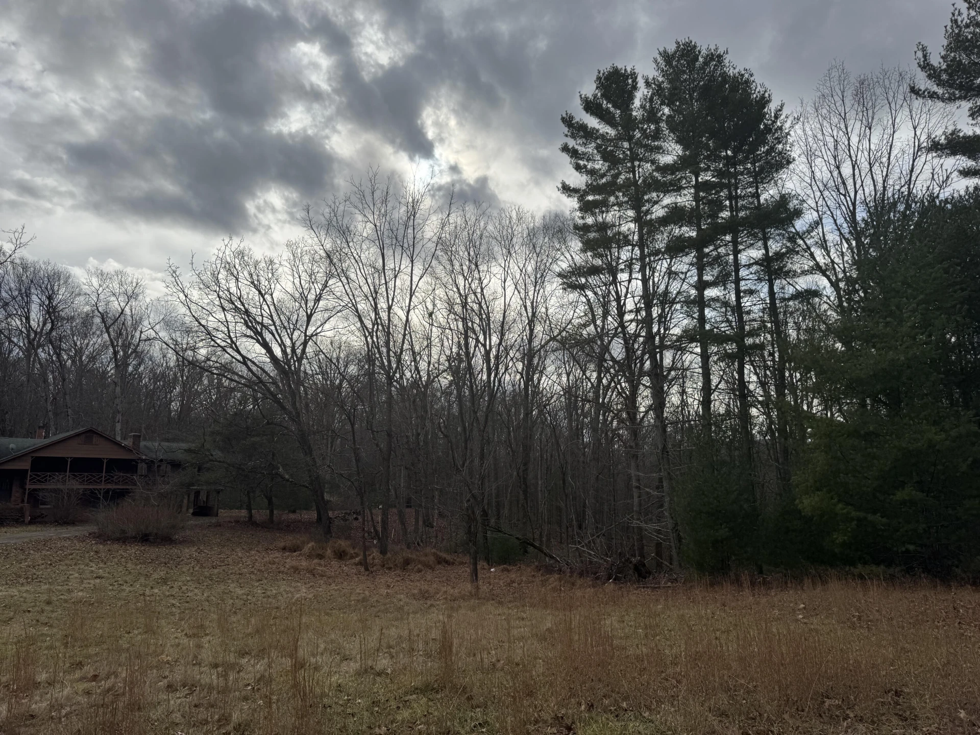 5341 Robinson Tract RD - Photo 25