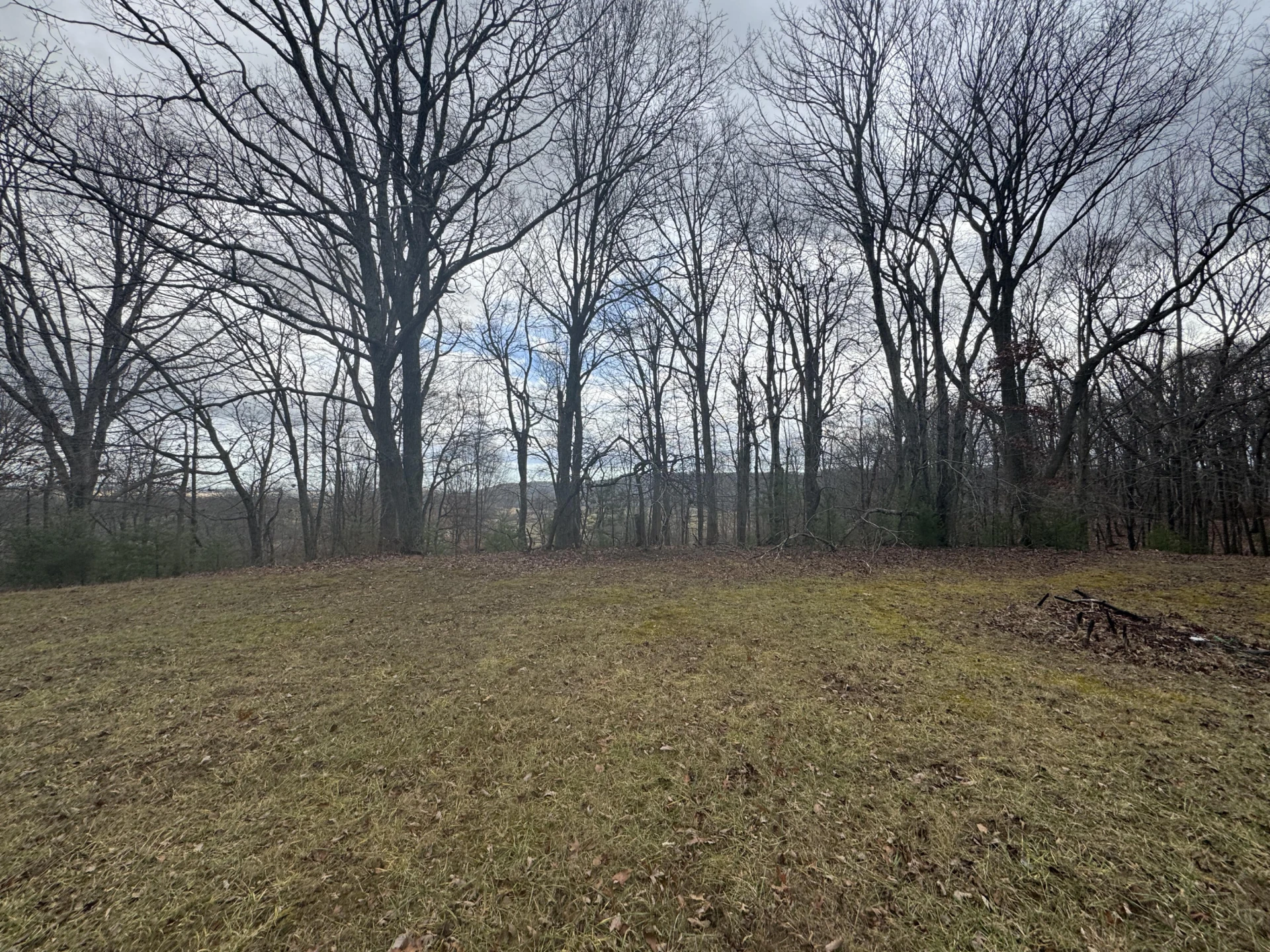 5341 Robinson Tract RD - Photo 31