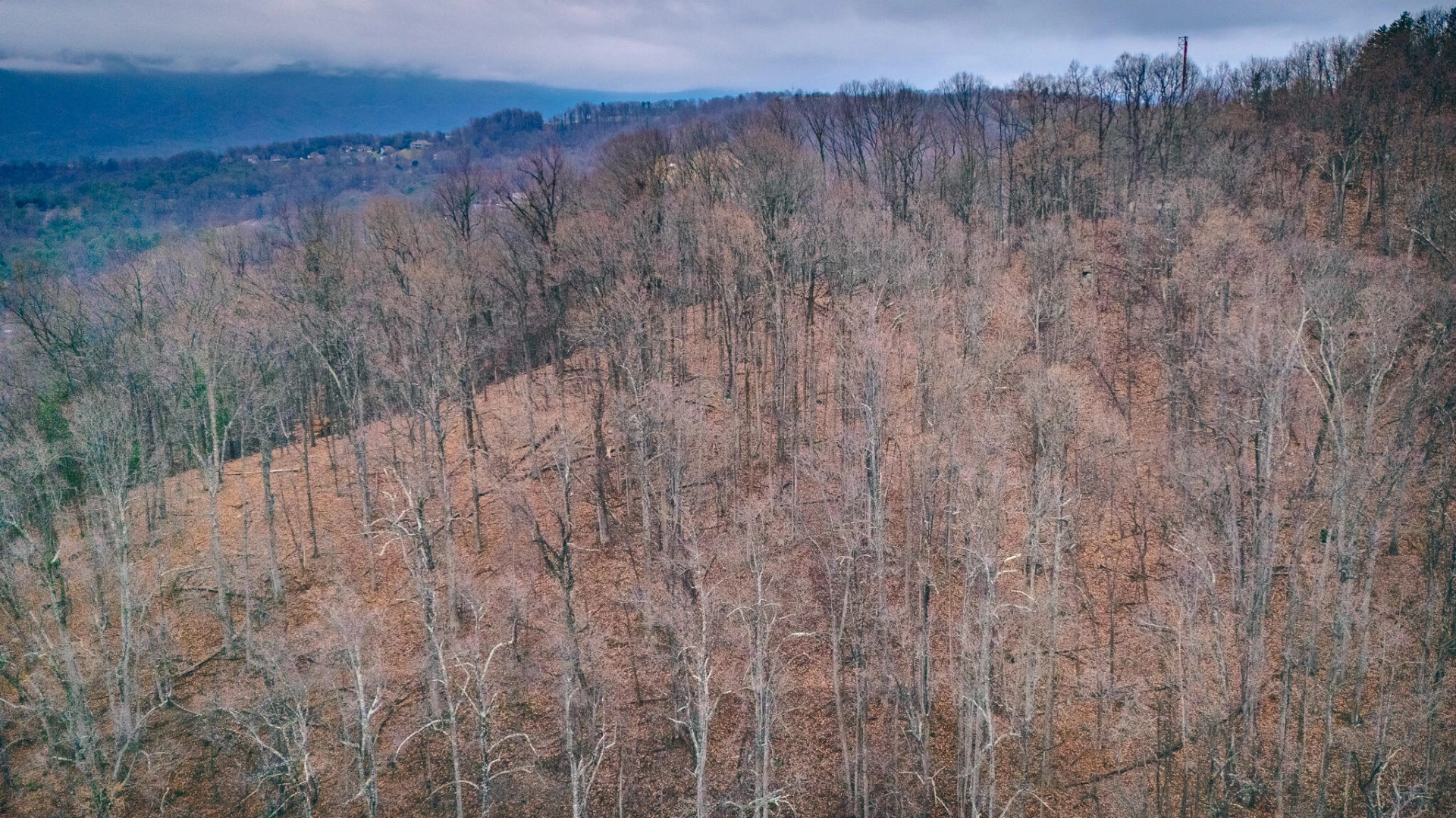 0 Sugar  Loaf Mountain RD - Photo 2
