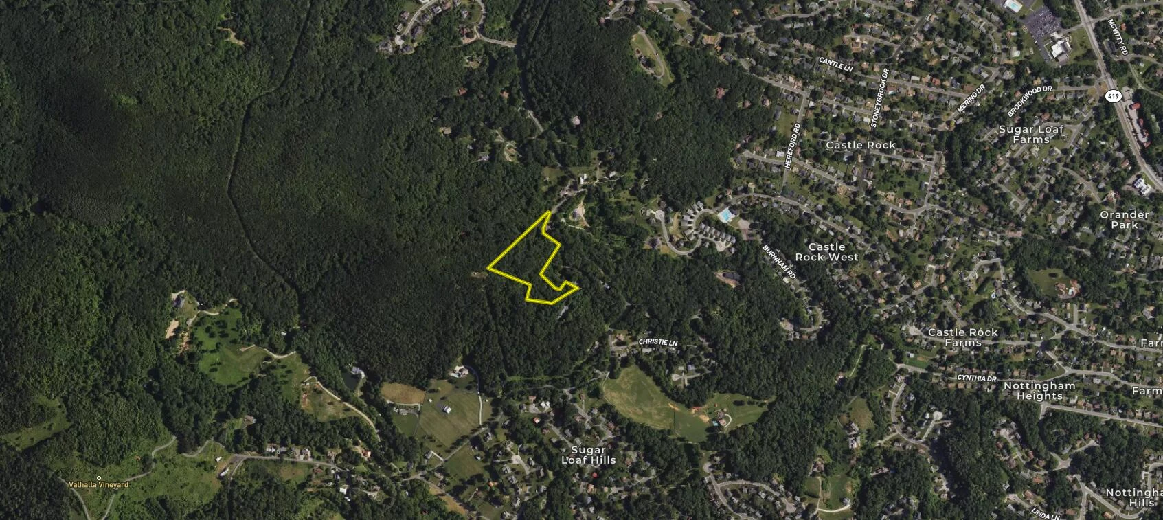 0 Sugar  Loaf Mountain RD - Photo 7