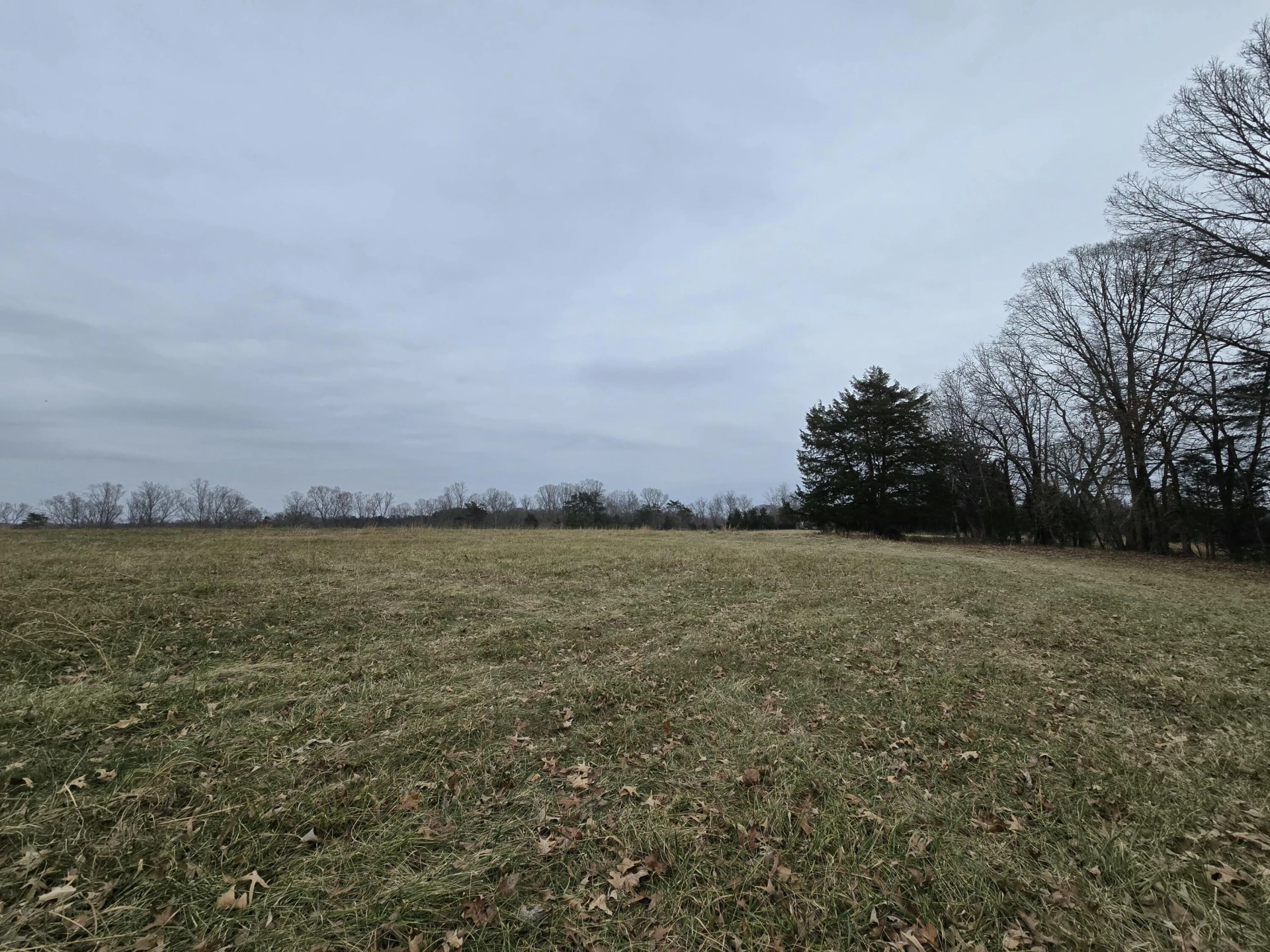 00C Moneta RD
