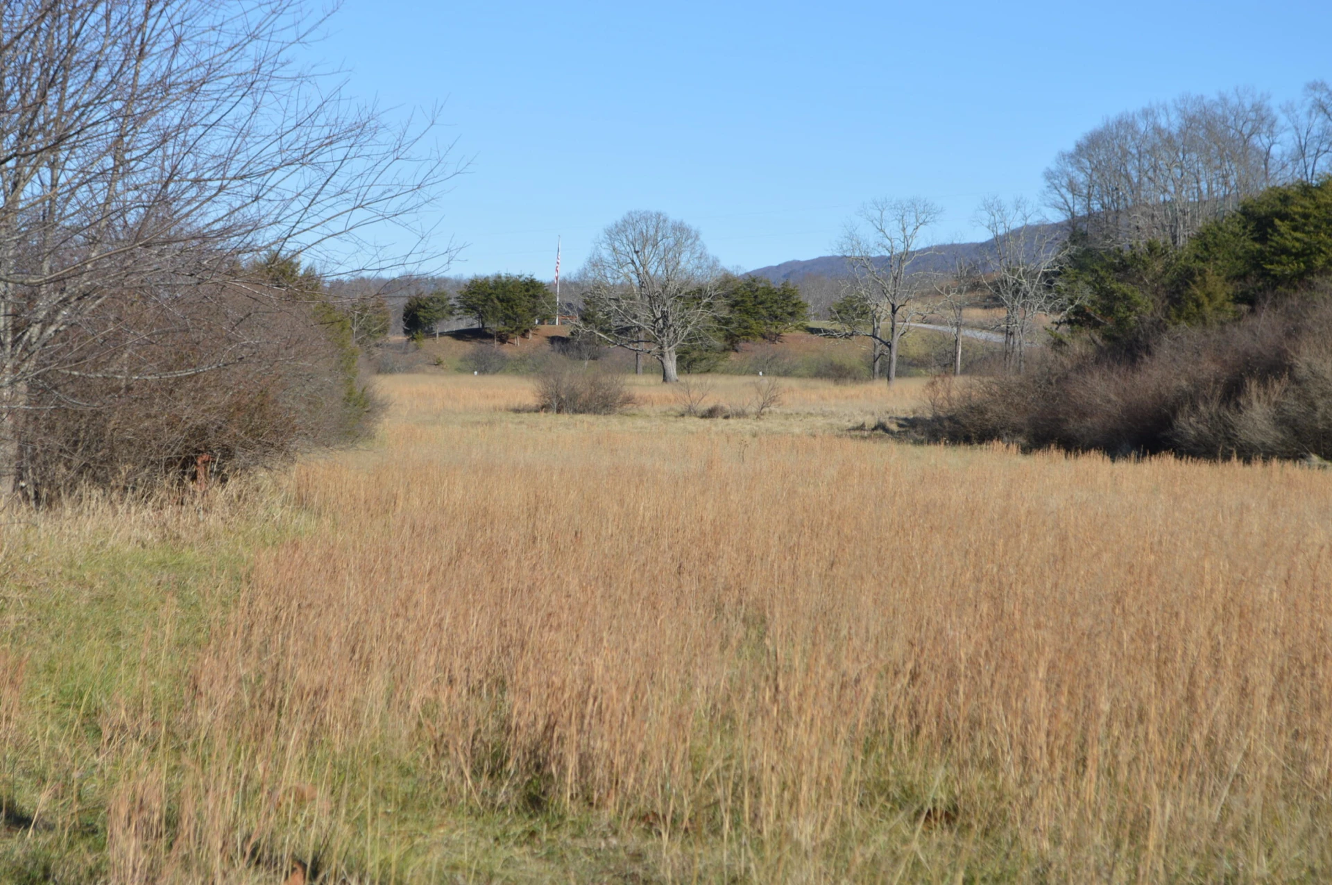 0 Johns Creek Mountain RD - Photo 10