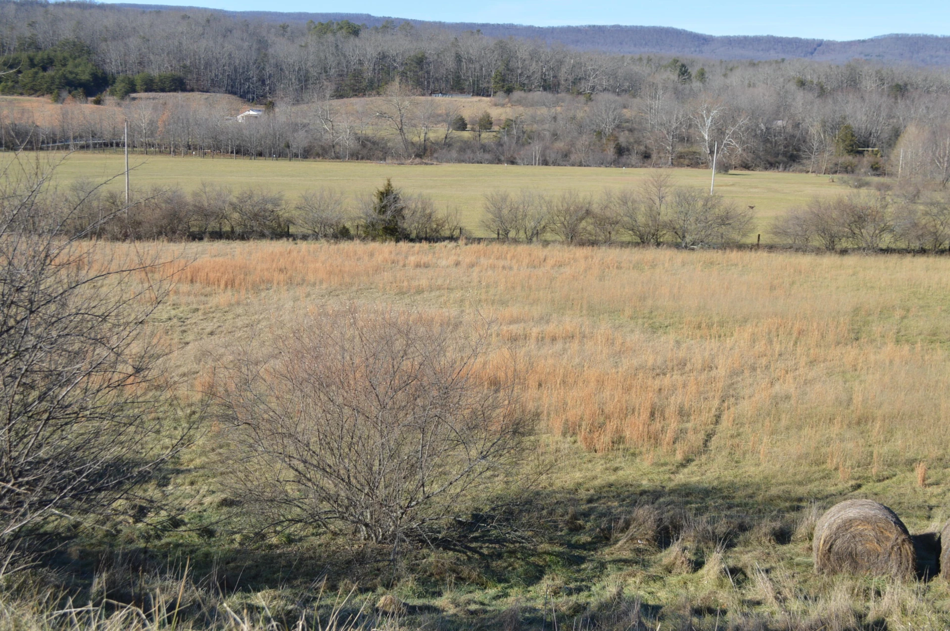 0 Johns Creek Mountain RD - Photo 11
