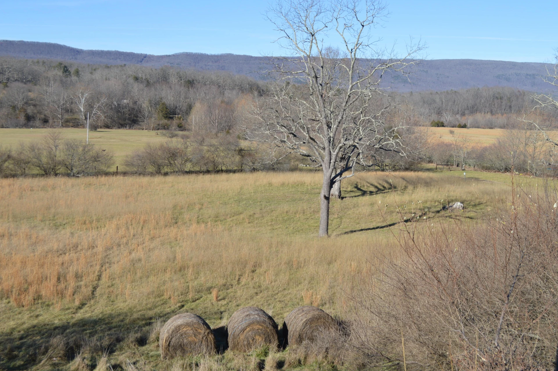 0 Johns Creek Mountain RD - Photo 13