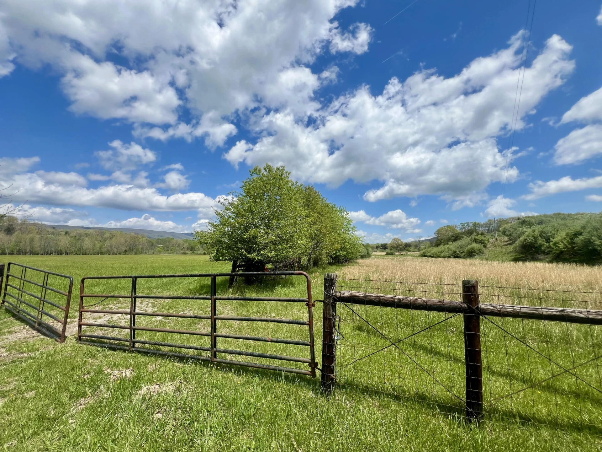 0 Johns Creek Mountain RD - Photo 8