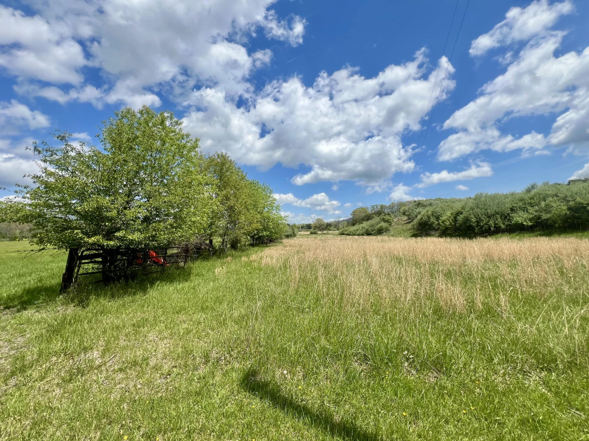 0 Johns Creek Mountain RD - Photo 9