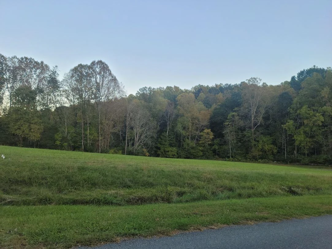 000 ALTICE MILL RD - Photo 2