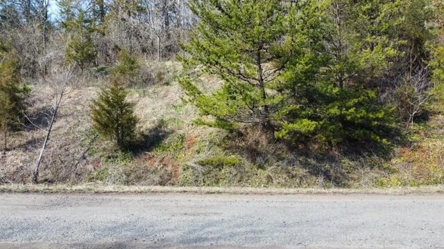 0 SPRING CHASE DR - Photo 2