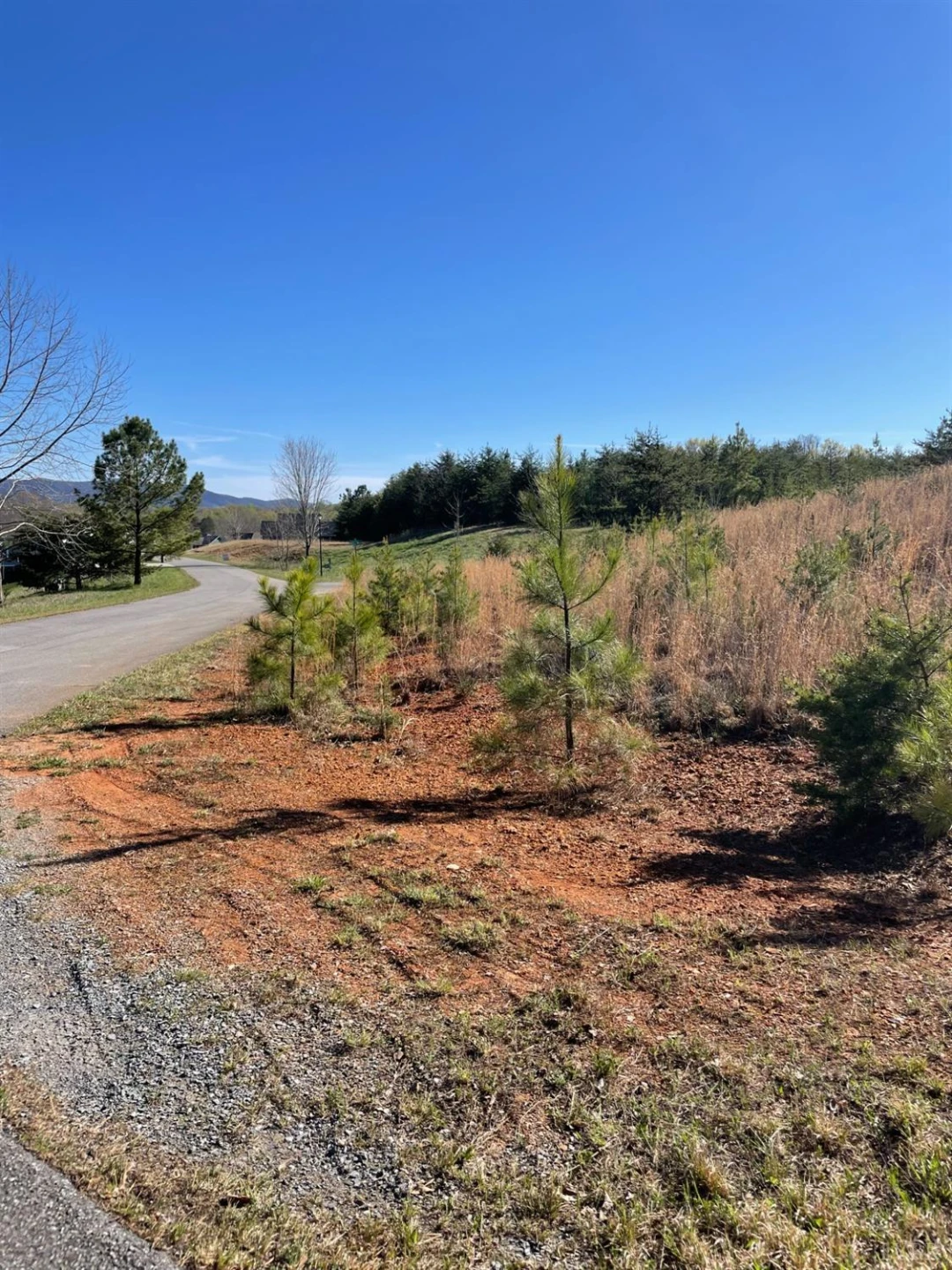 69 Barrows Hill DR - Photo 4