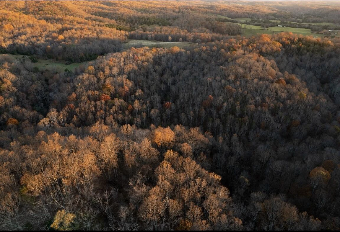305 County Line RD - Photo 10
