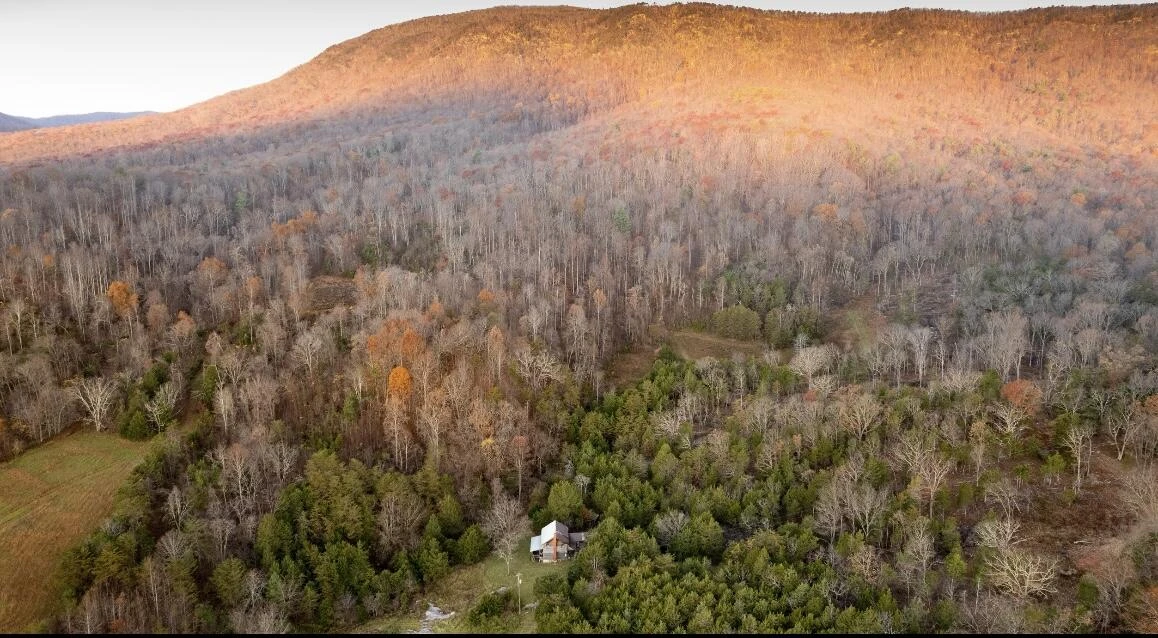 305 County Line RD - Photo 2