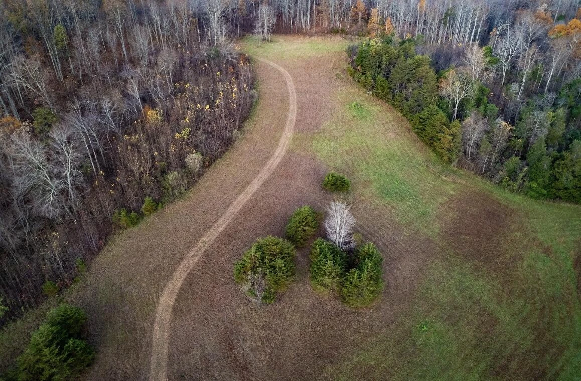 305 County Line RD - Photo 5