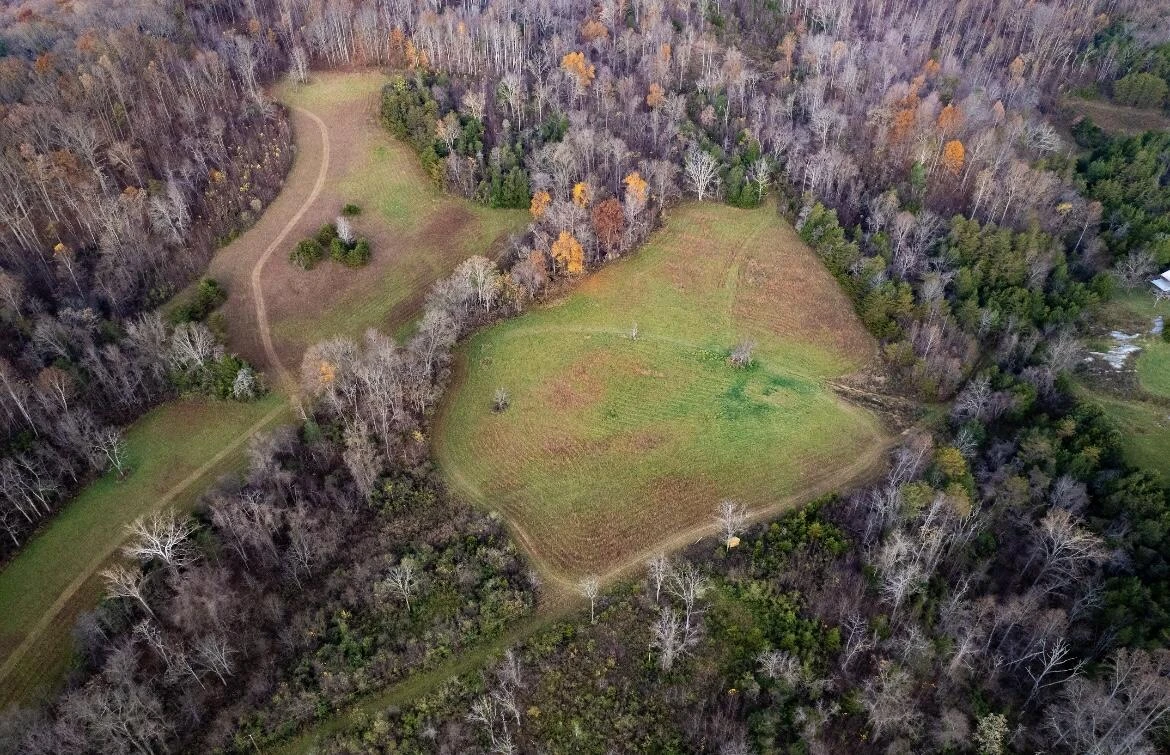 305 County Line RD - Photo 6