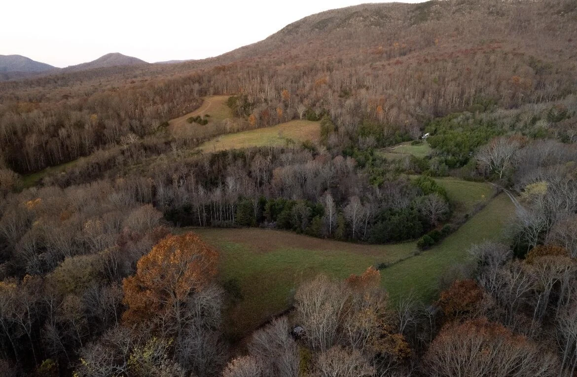 305 County Line RD - Photo 7