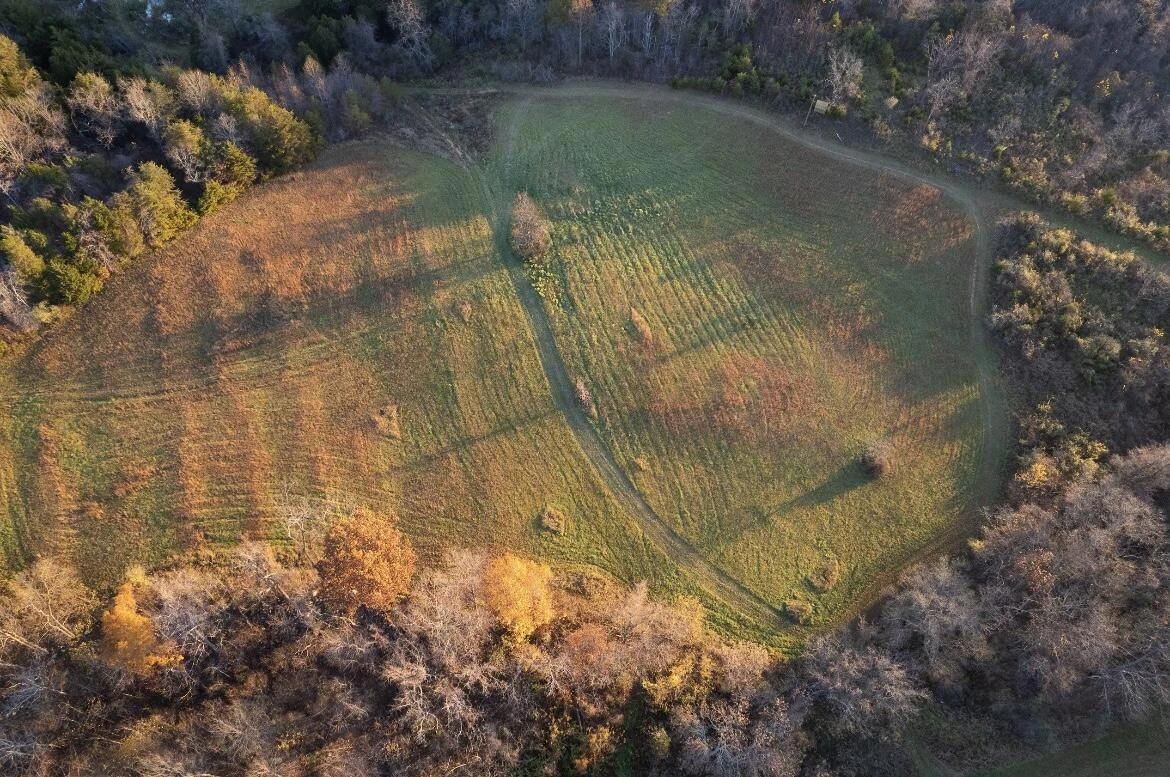 305 County Line RD - Photo 8