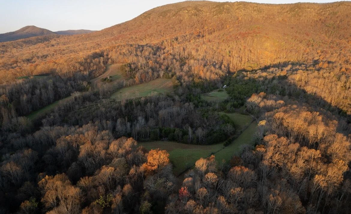 305 County Line RD - Photo 9