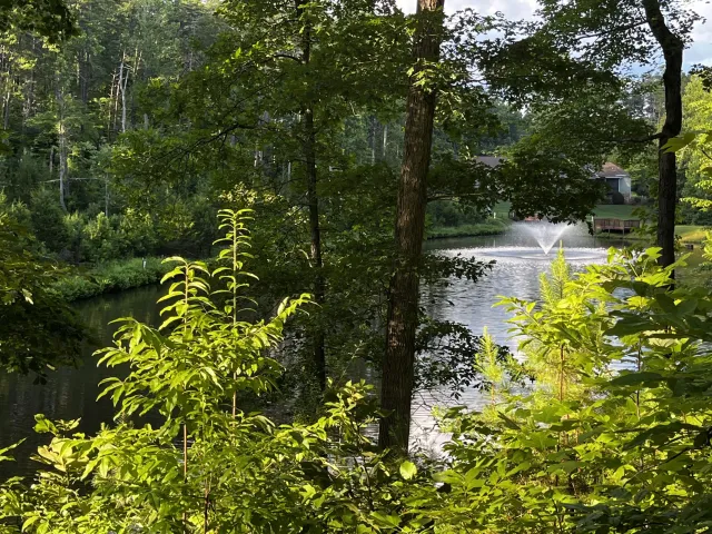 Lot 359 Clear Pointe Run, Lynch Station, VA, 24571