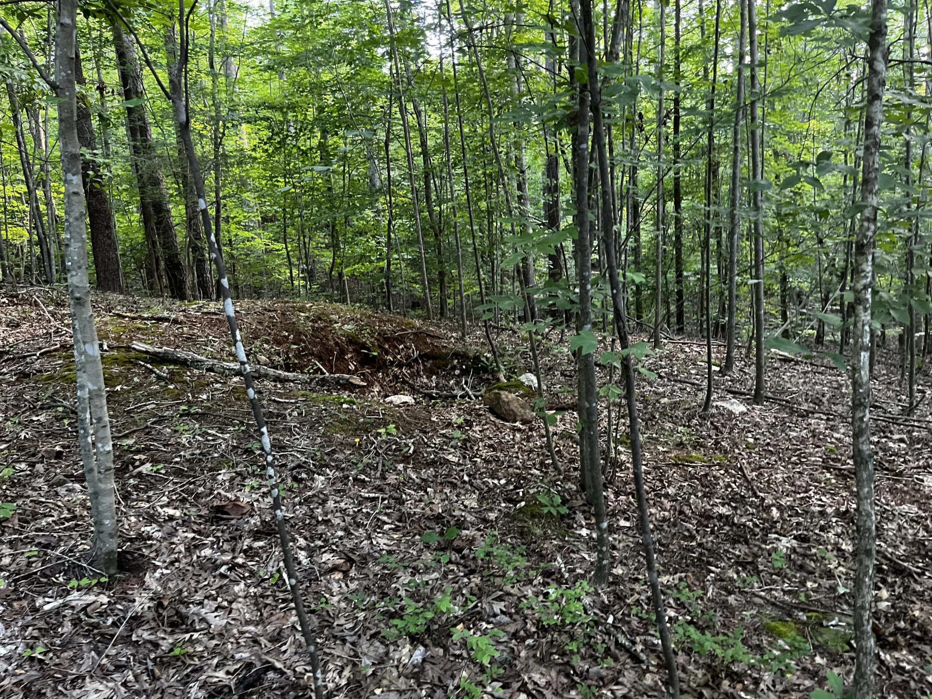 Lot 359 Clear Pointe Run - Photo 12