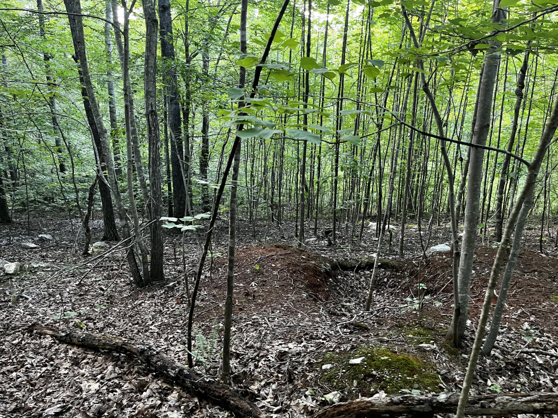Lot 359 Clear Pointe Run - Photo 13