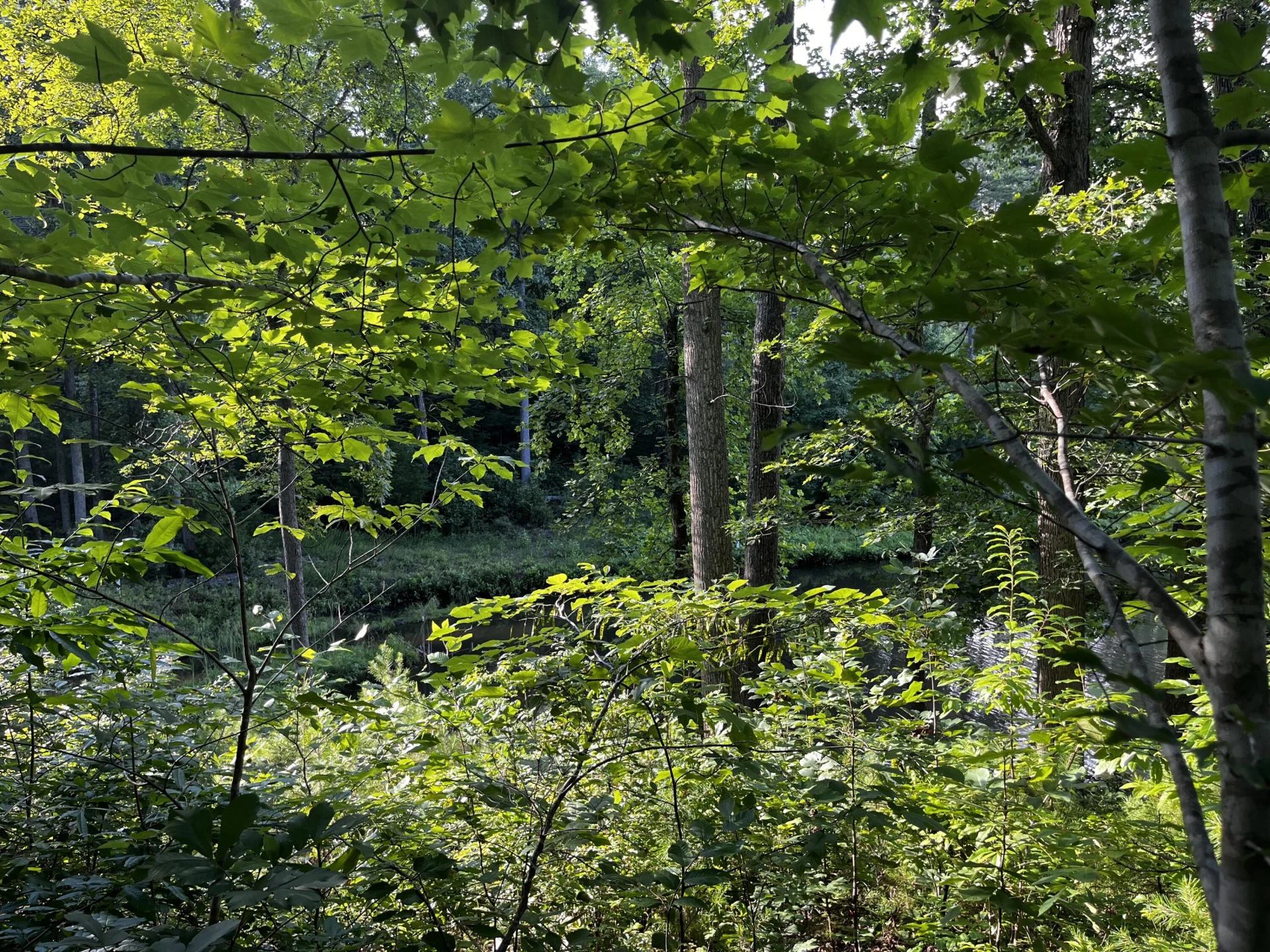 Lot 359 Clear Pointe Run - Photo 14