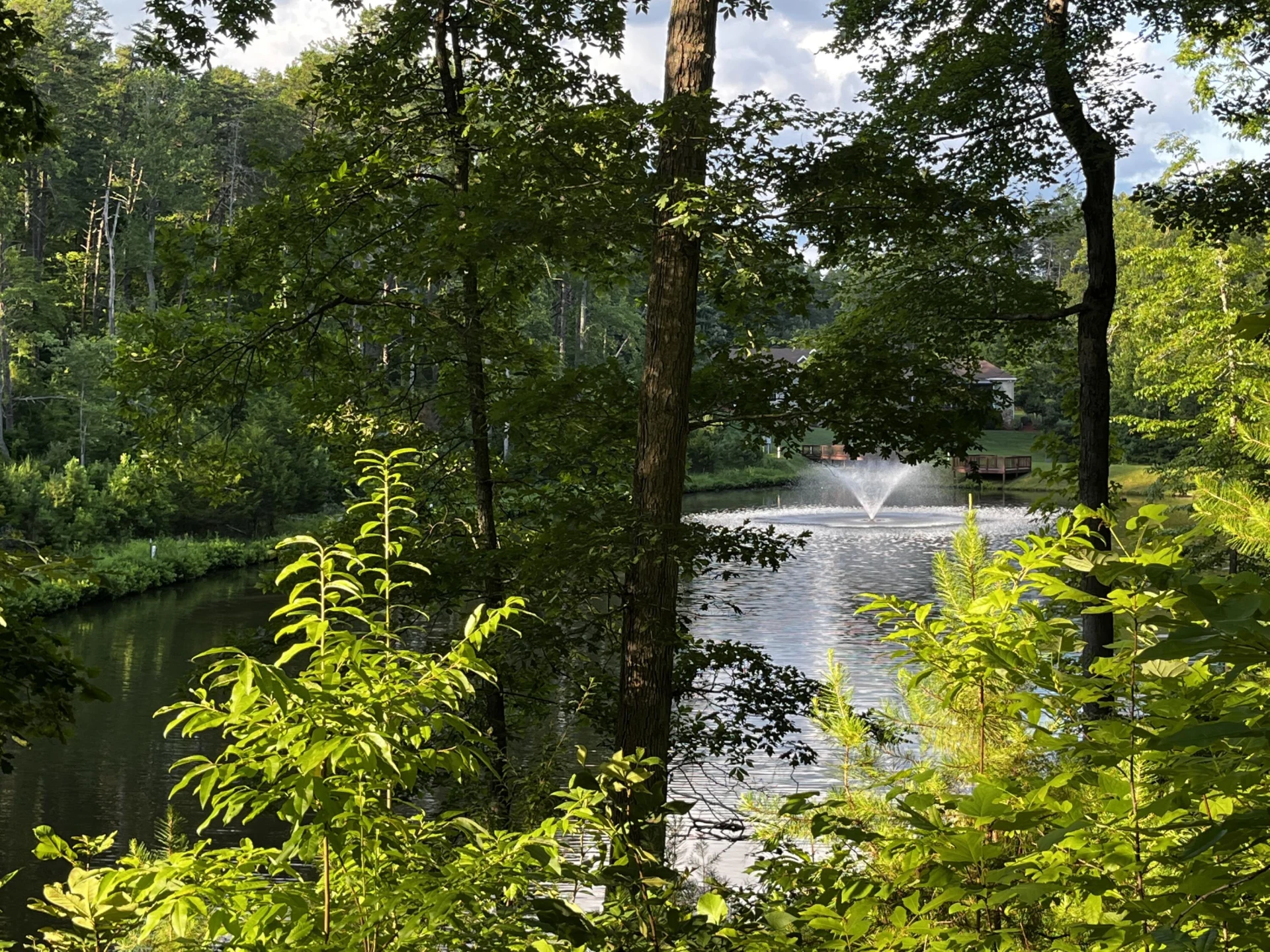 Lot 359 Clear Pointe Run - Photo 16