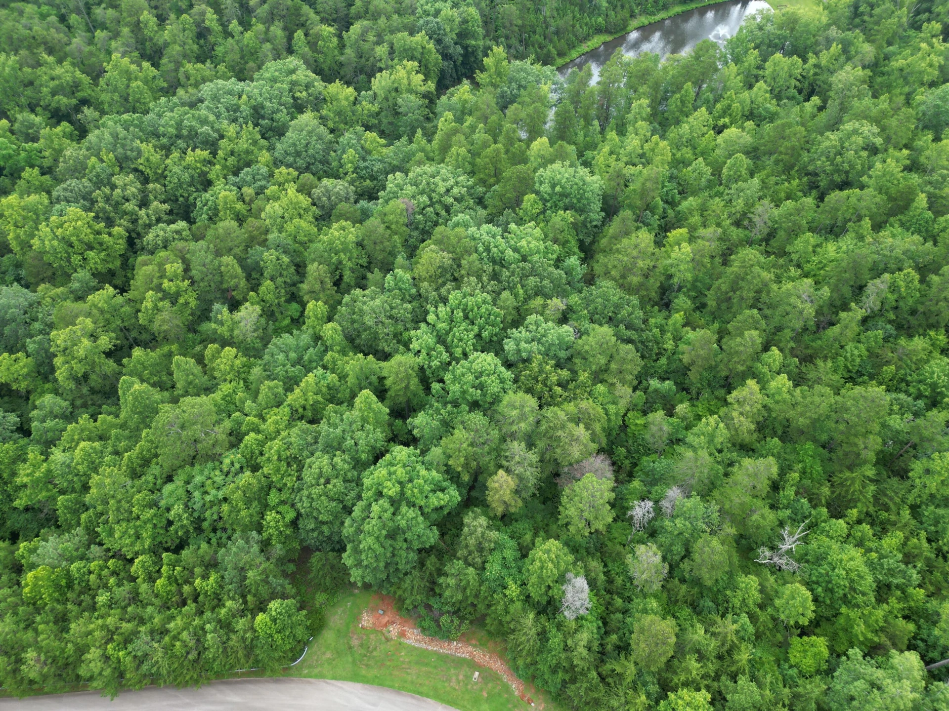 Lot 359 Clear Pointe Run - Photo 3